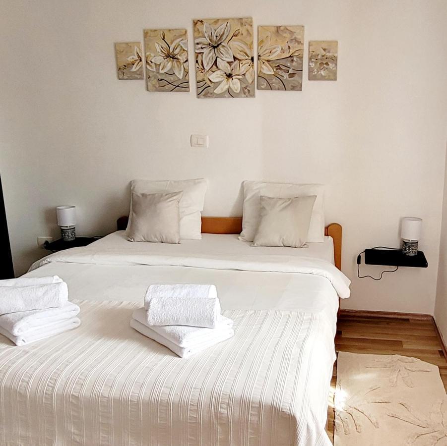 Apartman Rocky Petrovija Kültér fotó